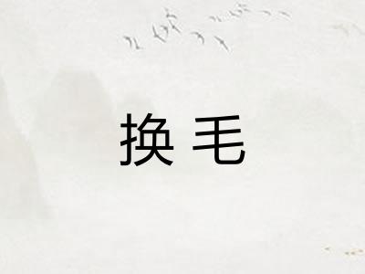 换毛