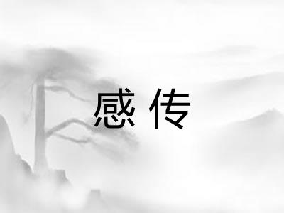 感传