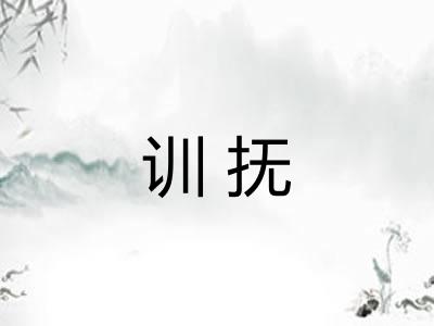 训抚