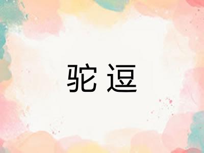 驼逗