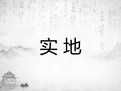 实地