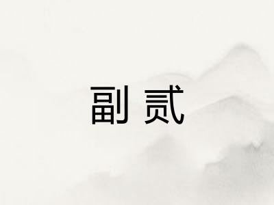 副贰