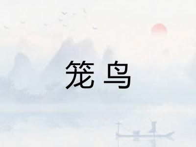 笼鸟