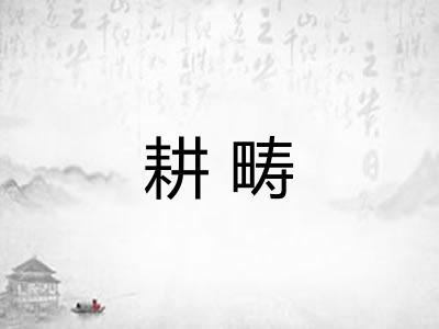 耕畴
