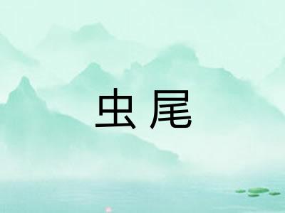 虫尾
