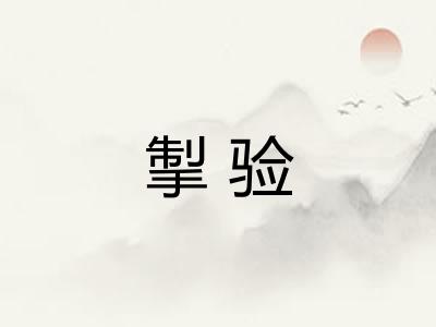 掣验