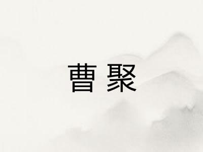 曹聚