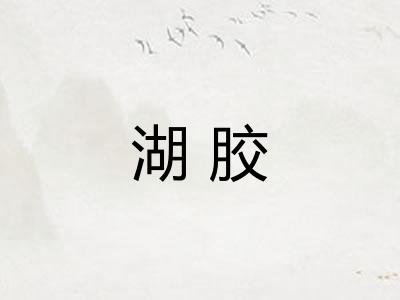 湖胶