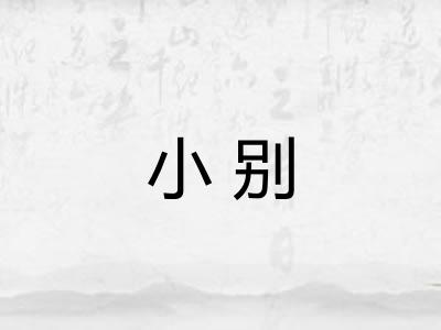 小别