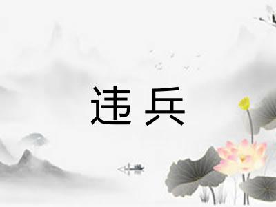 违兵