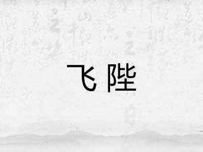 飞陛