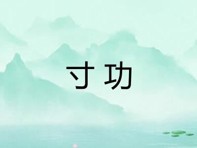 寸功