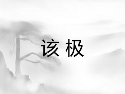 该极