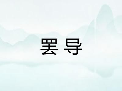 罢导