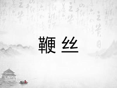 鞭丝