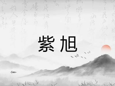 紫旭