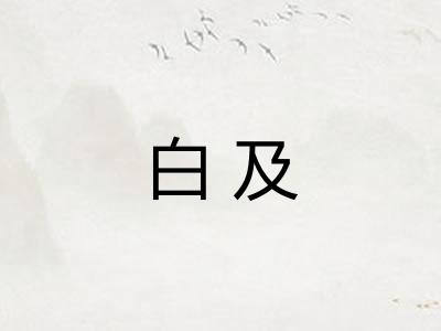 白及