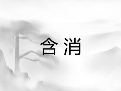 含消