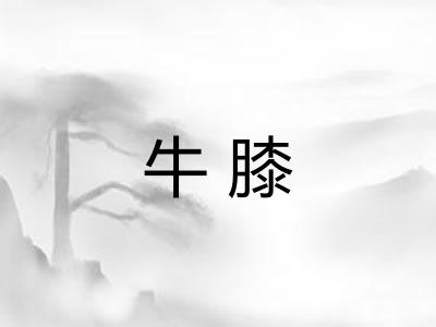 牛膝