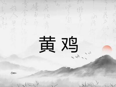 黄鸡