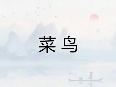 菜鸟