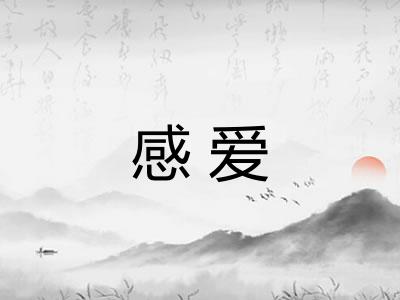 感爱