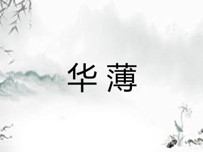 华薄