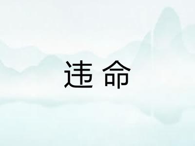 违命