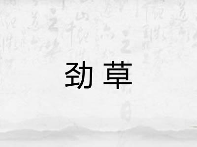 劲草