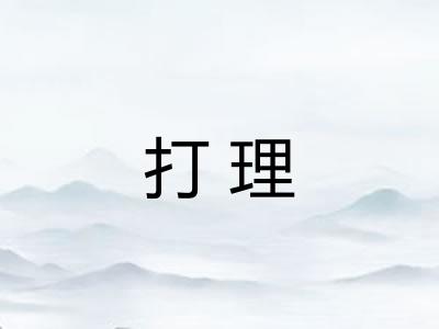 打理