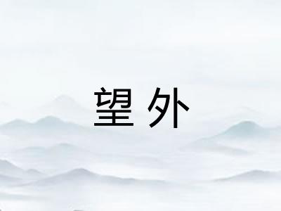 望外