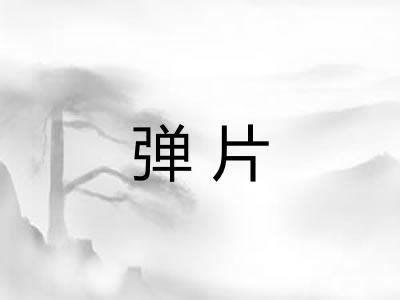 弹片