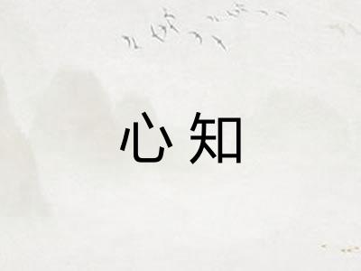 心知