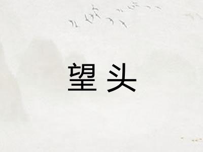 望头