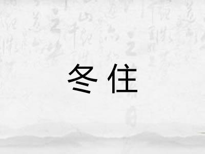 冬住
