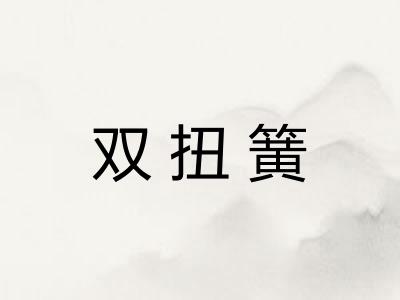 双扭簧