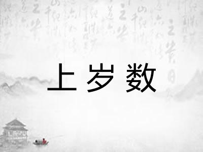 上岁数