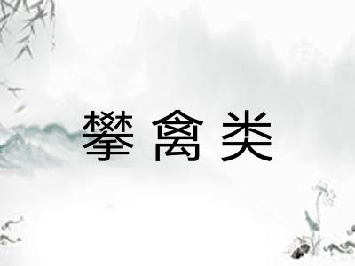 攀禽类