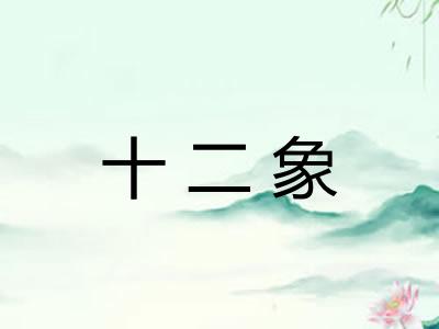 十二象