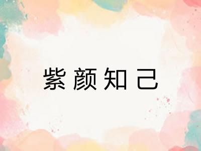 紫颜知己
