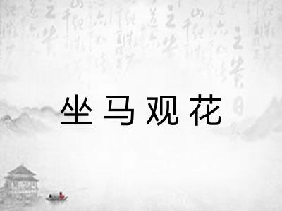 坐马观花