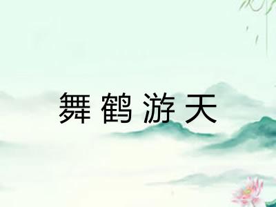 舞鹤游天