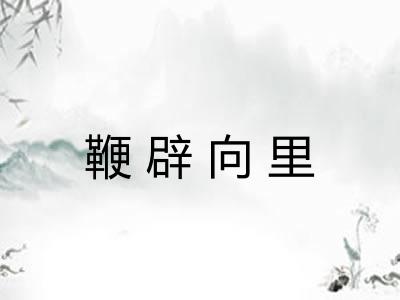 鞭辟向里