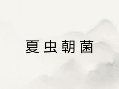 夏虫朝菌
