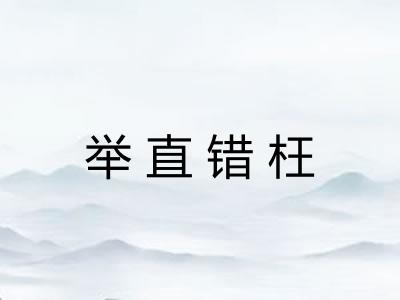 举直错枉