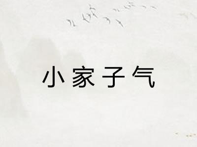 小家子气