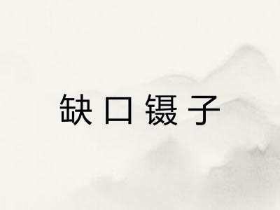 缺口镊子