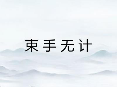 束手无计