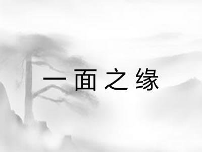一面之缘