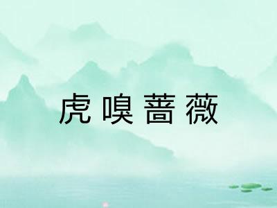 虎嗅蔷薇
